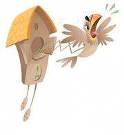 cuckoo